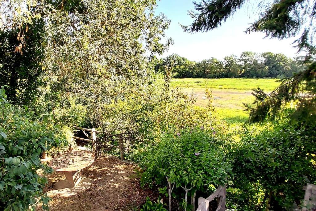 Le Bois Flotte - Maison Au Coeur De La Loire Entre Ville Et Nature Saumur Exterior foto