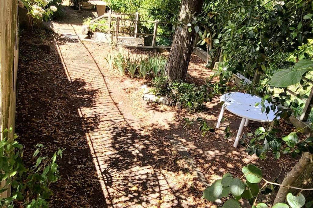 Le Bois Flotte - Maison Au Coeur De La Loire Entre Ville Et Nature Saumur Exterior foto
